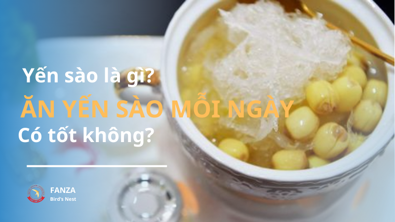 thumbnail-an-yen-sao-moi-ngay-co-tot-khong